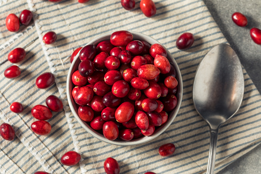 Raw Red Organic Fresh Cranberries in a Bowl