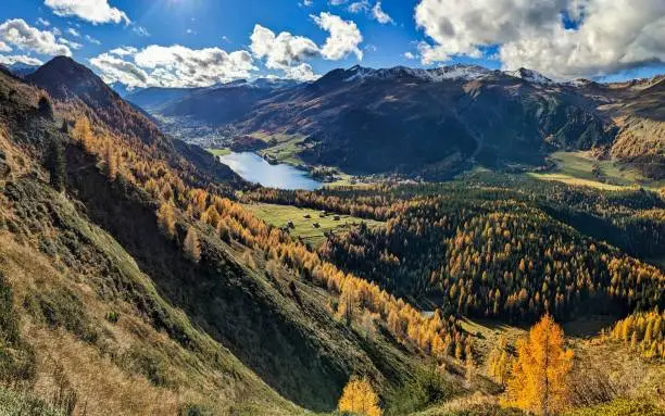 Photo of beautiful autumn hike above lake davos. Colored larch forests. Mountain panorama in Davos Klosters Mountains.