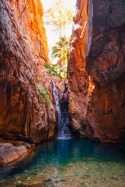 istock El Questro Gorge, Gibb River Road, Western Australia 1436512348