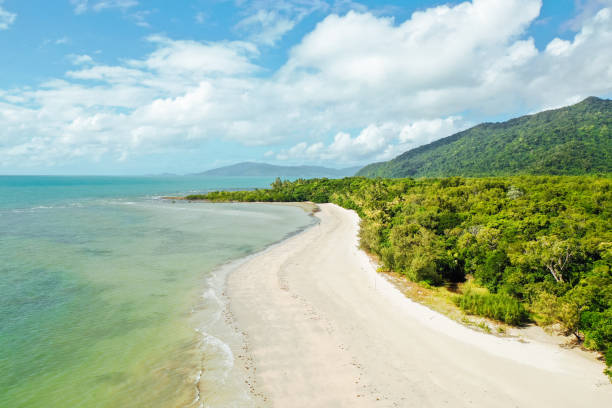 istock Cape Tribulation Beach, Far North Queensland 1436513100
