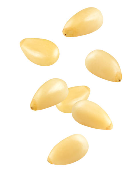istock Falling Pine nuts isolated on white background, clipping path, full depth of field 1436515961