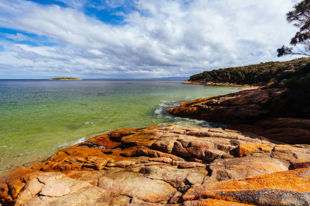 istock Hazards Beach In Freycinet Tasmania Australia 1436516101