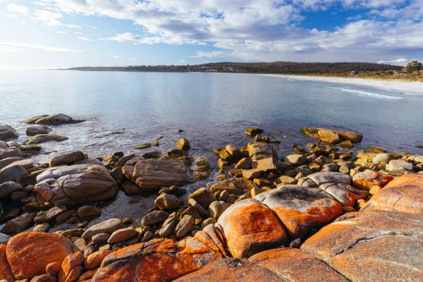 istock Binalong Bay Beach in Tasmania Australia 1436516120