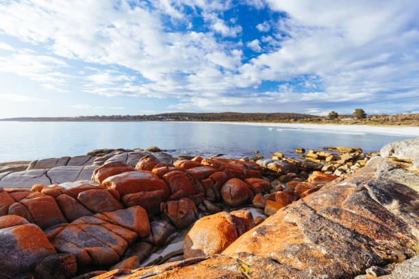 istock Binalong Bay Beach in Tasmania Australia 1436516121