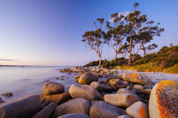 istock Binalong Bay Sunset in Tasmania Australia 1436516131