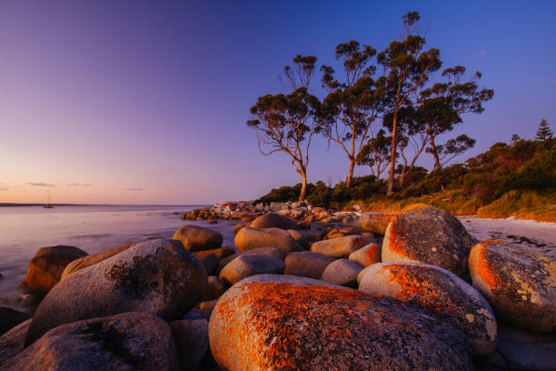 istock Binalong Bay Sunset in Tasmania Australia 1436516139