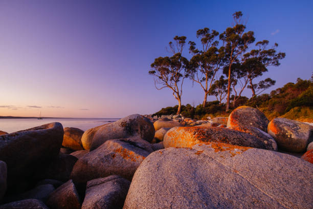 istock Binalong Bay Sunset in Tasmania Australia 1436516141