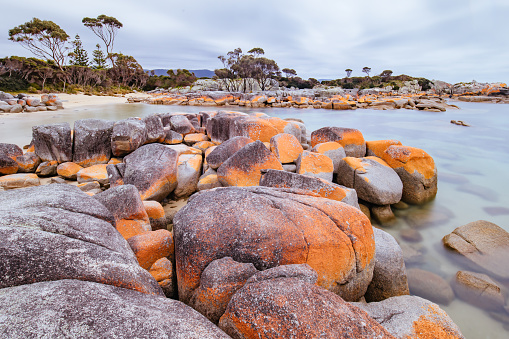 Detail of the iconic lichen covered rocks in the Bay of Fires at Binalong Bay, Tasmania, Australia