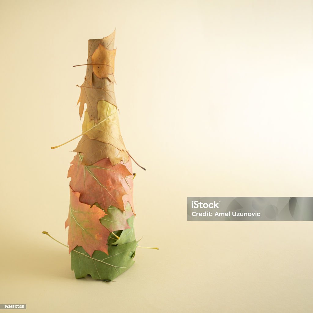 Champagne bottle covered with oak leaves in the colors of autumn. Green, yellow, red and brown color. Creative Thanksgiving Day concept with copy space on a pastel background. Abstract Stock Photo