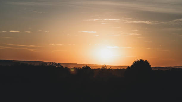 istock Colorful sunset over a field, incredible wildlife 1436517292