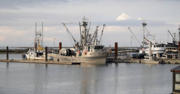 fishing boats at steveston harbour, richmond,  british columbia - walking point of view imagens e fotografias de stock