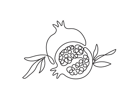 Pomegranate. Modern single line art drawing. Happy Shana tova continuous line draw design vector illustration