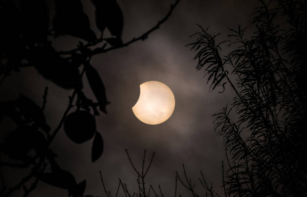 partielle sonnenfinsternis 25.10.2022 - lunar eclipse stock-fotos und bilder