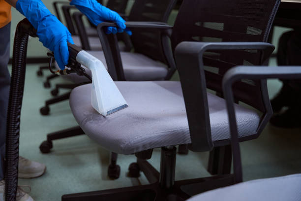 istock Certified cleaning specialist using upholstery vacuum-cleaner for chairs 1436521863