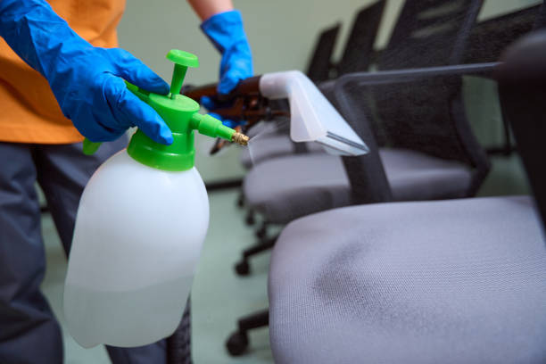 istock Hard-working cleaner using chemicals to disinfect the chairs 1436521888
