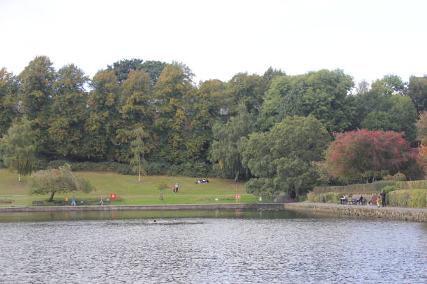 istock Autumn in Crookes Valley Park 1436523562