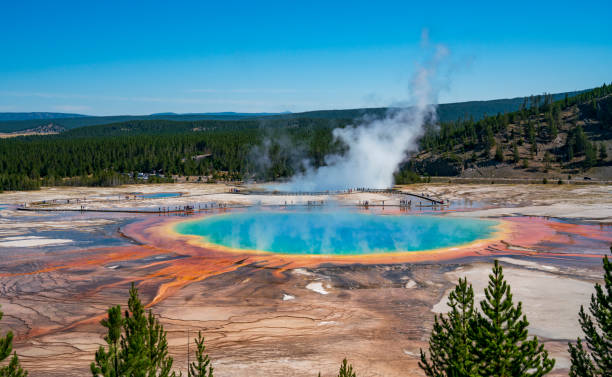 Amazing colors. Amazing colors. Grand Prismatic Spring. Yellowstone midway geyser basin stock pictures, royalty-free photos & images