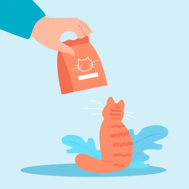 Vector illustration of Cat looking at feed package flat vector illustration