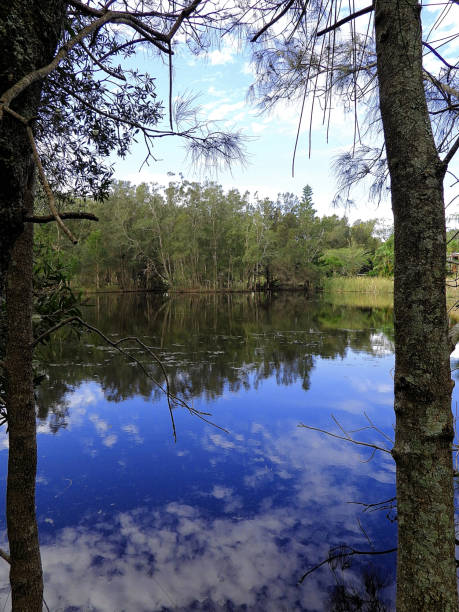 istock Manning Point, NSW, Australia 1436532889