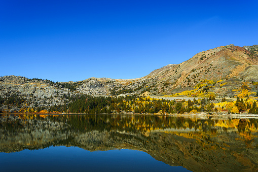 Autumn landscape of Sierra Nevada and Red Lake surrounded by pine trees and colorful fall aspen trees.\n\nTaken at Red Lake, California, USA