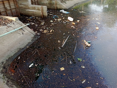 Floating rubbishes on wastewater , Chiangmai  province Thailand.