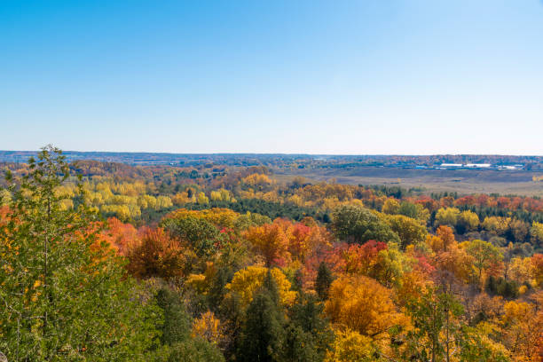 istock Sun Beaming Over Autumn Foliage, Milton 3 1436537664