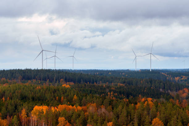 istock Autumn forest and wind turbines in Jonkoping, Sweden. 1436538810