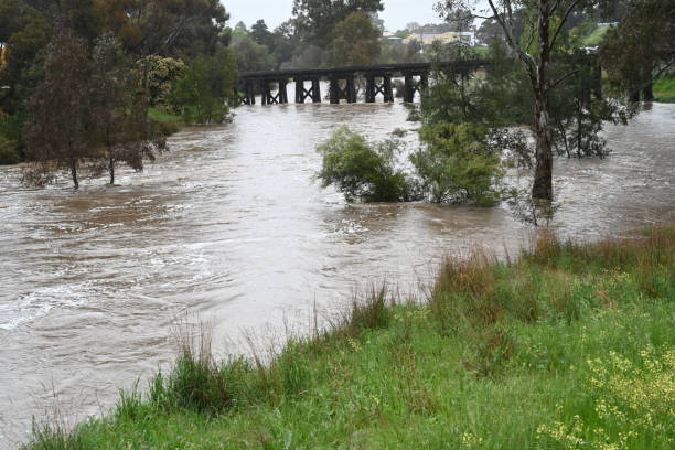istock Castlemaine, Forest Creek flooding  Australia 1436542136