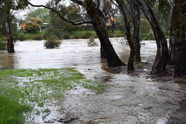 istock Castlemaine, Forest Creek flooding  Australia 1436542137