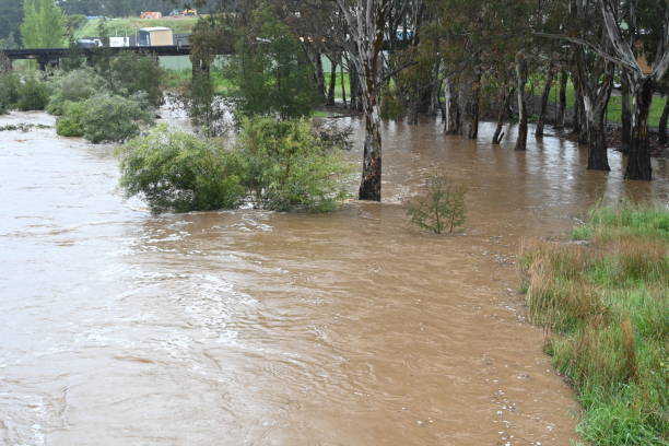 istock Castlemaine, Forest Creek flooding  Australia 1436542152