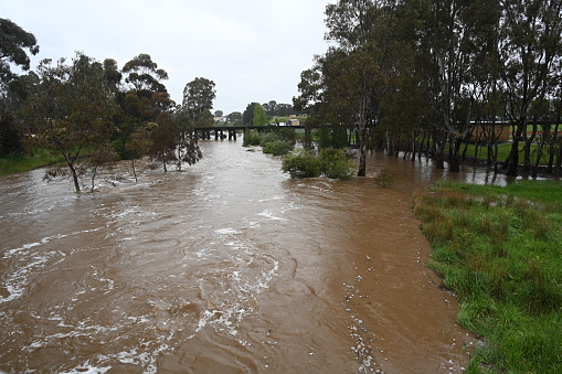 Castlemaine, Forest Creek flooding  2022 Victoria  Australia