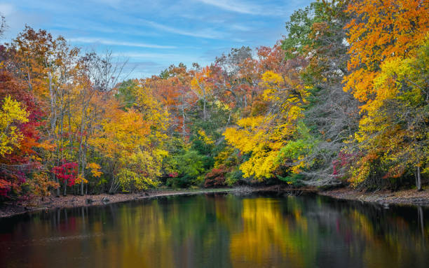 istock Reflections of Autumn 1436546286