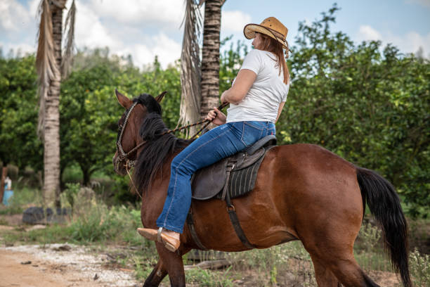 istock Living at a ranch, riding a horse 1436548484