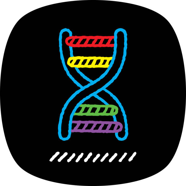 64 Cartoon Of The Dna Helix Model Illustrations & Clip Art - iStock 64 Cartoon Of The Dna Helix Model Illustrations & Clip Art - iStock