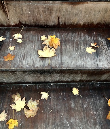 Fallen autumn yellow and gold leaves decorate a wooden staircase outside a Hoboken, New Jersey apartment building.