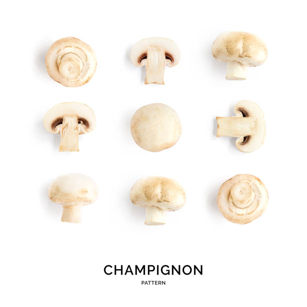 istock Seamless pattern with mushroom champignon. Vegetables abstract background. Champignon on the white background. 1436571020