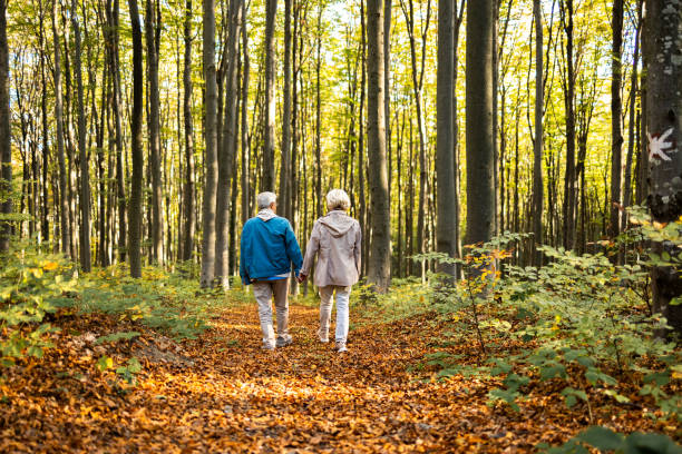 istock Senior couple enjoying nature 1436578724
