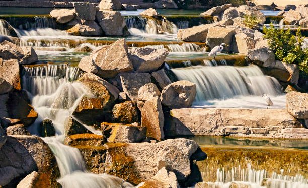 istock Little Heron sitting on rocks at a manmade waterfall park 1436585576