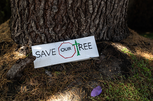 View of sign attached to the tree with text Save Our Trees