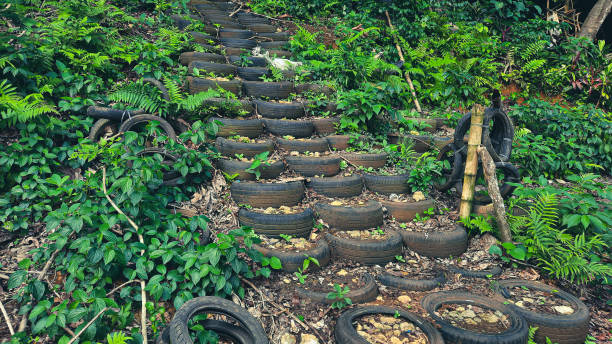 istock Stairs from old tires to tropical protected forest 03 1436587320