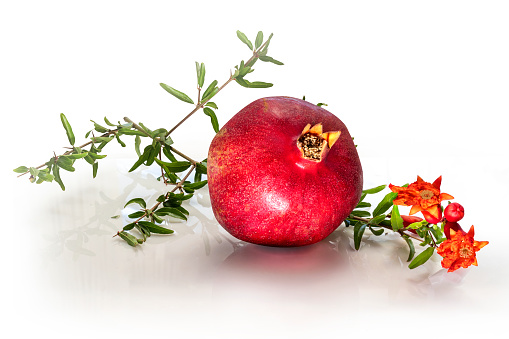Ripe pomegranete with pomegranate flowers and leaves isolated on a white background.