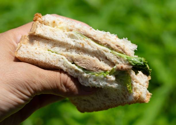 istock Hand holding Tuna Sandwich - green background. 1436592915