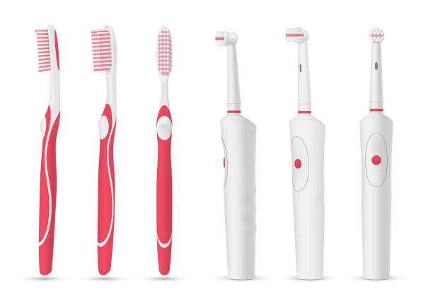 ilustrações, clipart, desenhos animados e ícones de escovas de dentes modernas elétrica e mecânica conjunto dispositivo de higiene dental vetorial realista - bristle brush part