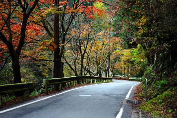 istock Empty roads and maple trees that are beautifully changing colors in autumn. 1436601715