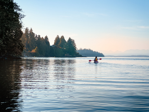 A young Eurasian woman enjoys the view while paddling in calm waters in the evening.  Bamfield, Vancouver Island, British Columbia, Canada.