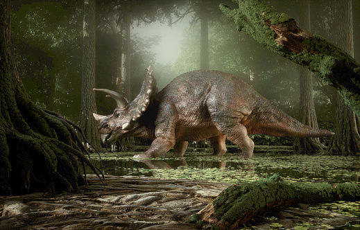 Triceratops dinosaur in the forest. This is a 3d render illustration