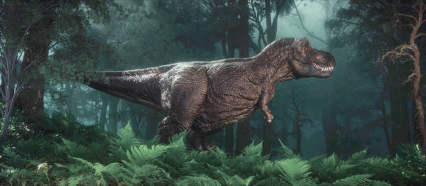istock Tyrannosaurus in the forest. 1436628453
