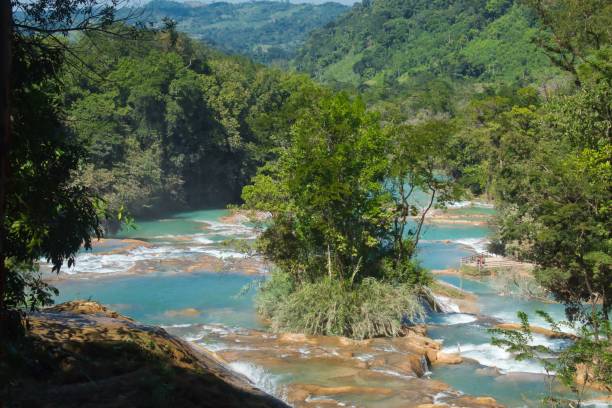 istock Cascading and splashing river water in the green forest on a sunny day 1436628767