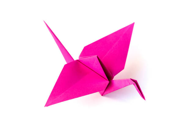 istock Pink paper crane origami isolated on a white background 1436629162