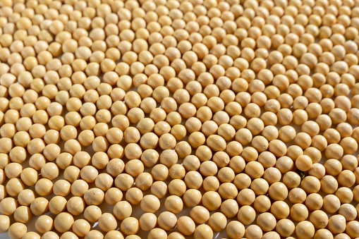 A closeup of soy beans background